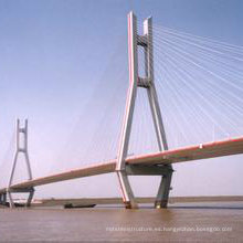 Puente de acero de alta calidad de la estructura de China